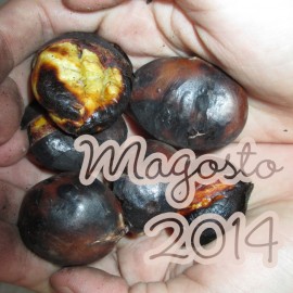 Magosto 2014